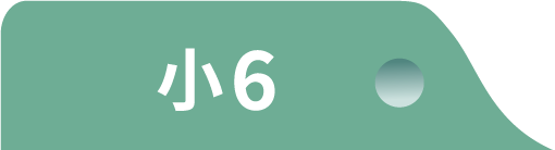 小6