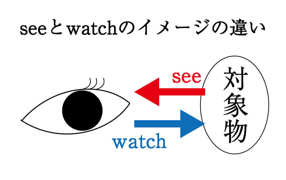 英語 Look See Watch の正しい使い分け 勉強の悩み 疑問を解消 小中高生のための勉強サポートサイト Shuei勉強labo